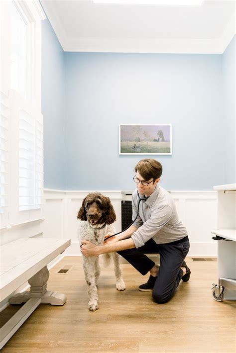 vet decatur ga|The Best 10 Veterinarians near Decatur, GA 30033 .